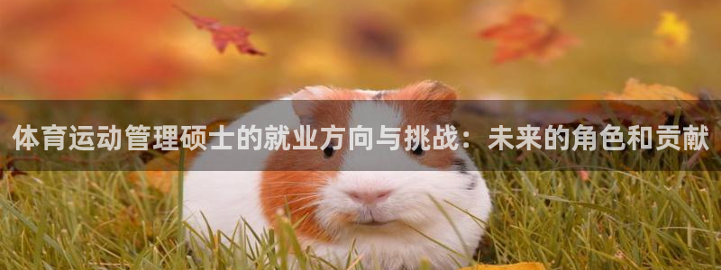 7m体育足球