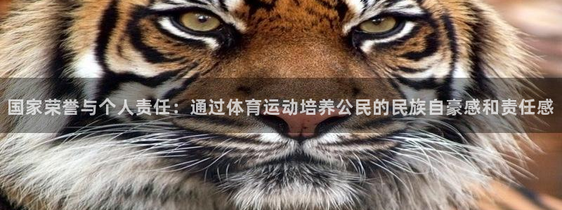 7m体育官网：国家荣誉与个人责任：通过体育运动培养公民的民族自豪感和责任感