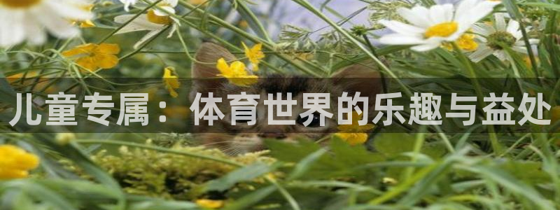 7m体育篮球比分：儿童专属：体育世界的乐趣与益处