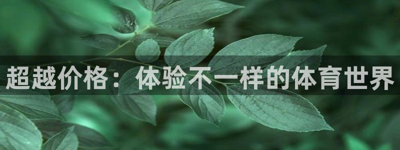 7m体育足球官网